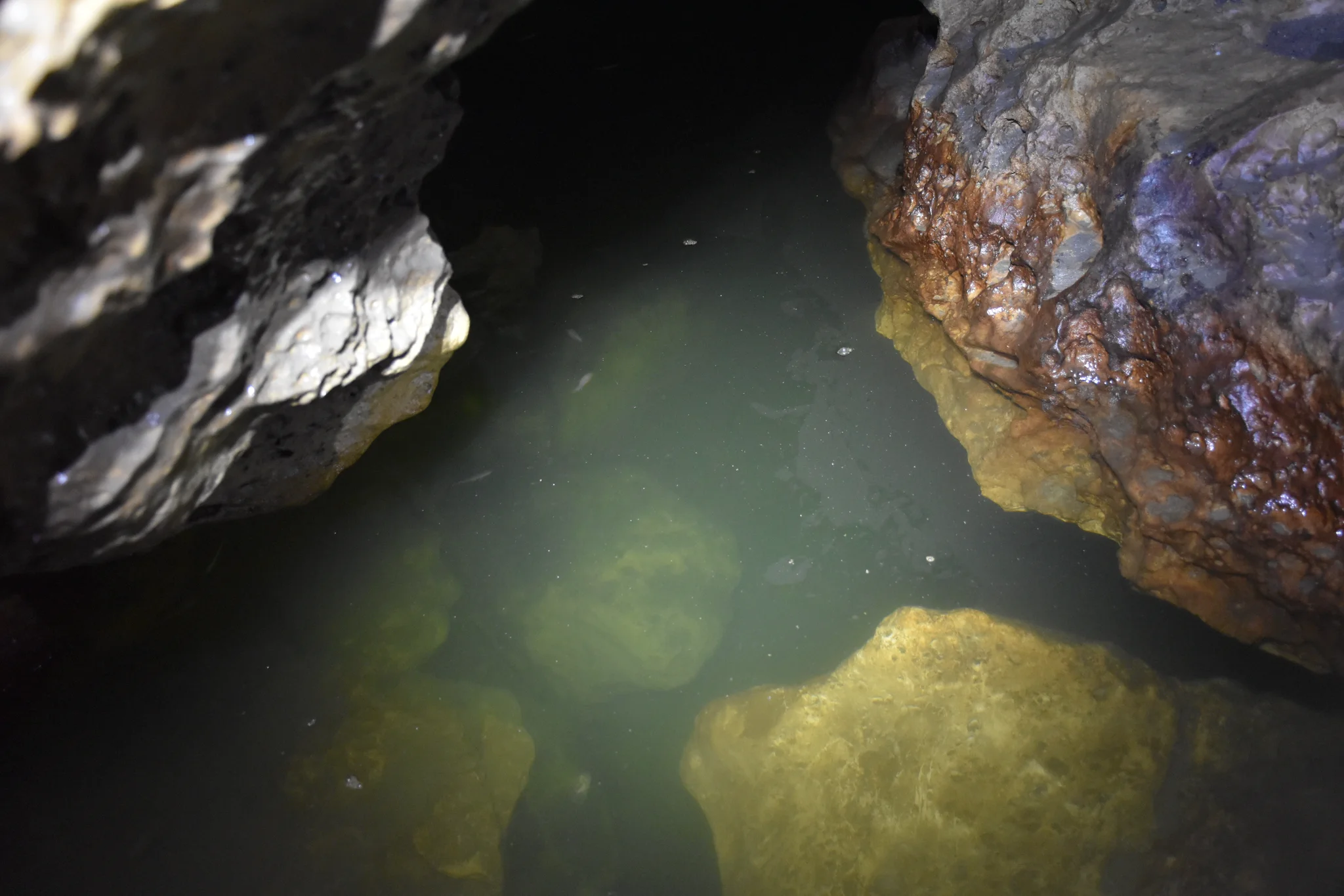 Subterranean limestone pool illuminated by expedition flashlight beam inside Sierra de El Abra cave system
