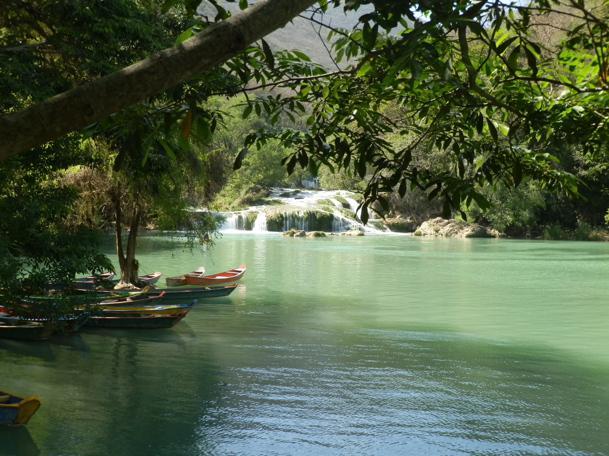 Field expedition boats along the emerald waters of Rio Micos lagoon