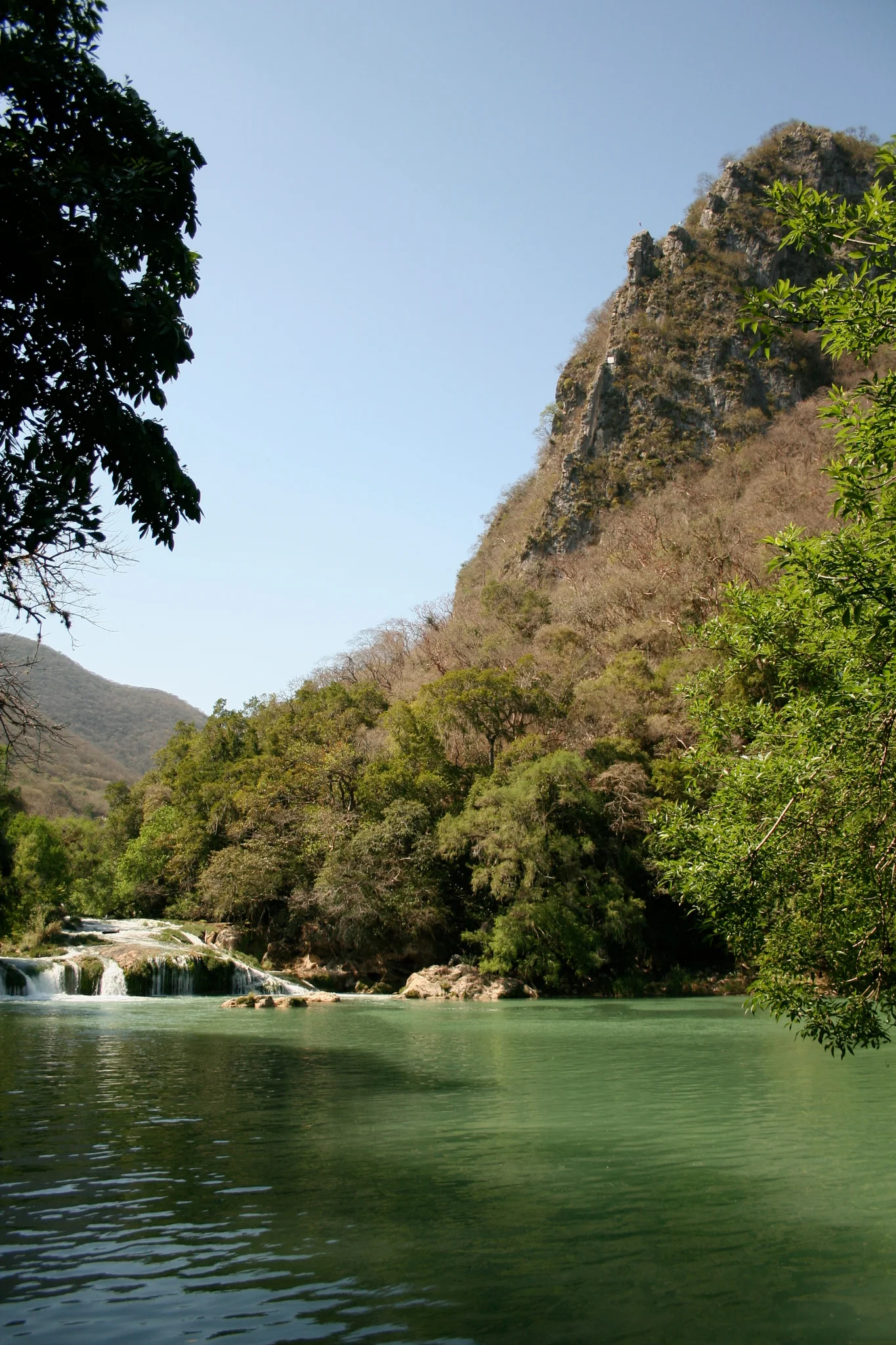 Sunlit limestone river canyon flowing through lush subtropical forest in Sierra de El Abra